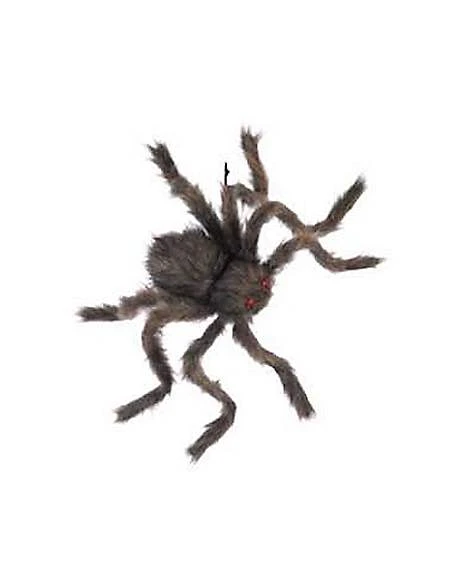 20 Inch Hairy Spider 1 20 Inch Hairy Spider
