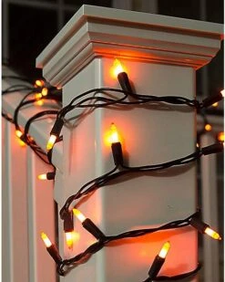 Orange String Lights 5 Orange String Lights -Online Halloween Costumes 01027531 c
