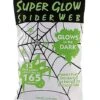 Glow In The Dark Spider Web Decoration