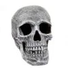 Large Realistic Skull Prop