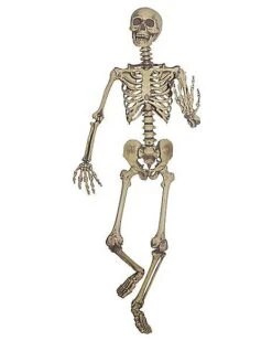 5 Ft Hanging Skeleton Decoration