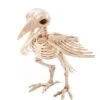 Skeleton Crow