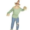 Adult Scarecrow Costume