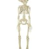 20 Inch Two-Headed Skeleton