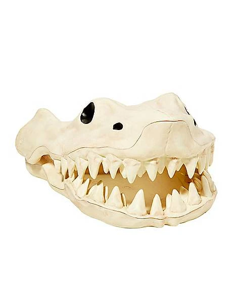 Shark Skull - Decorations 1 Shark Skull - Decorations