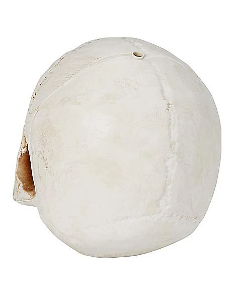 Jawless Skull 3 Jawless Skull - Image 3