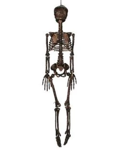 Moss Skeleton -Online Halloween Costumes 01477140 c
