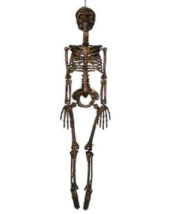 Moss Skeleton -Online Halloween Costumes 01477140 d