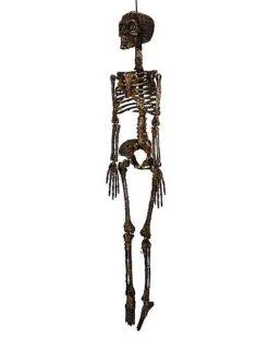 Moss Skeleton -Online Halloween Costumes 01477140 e