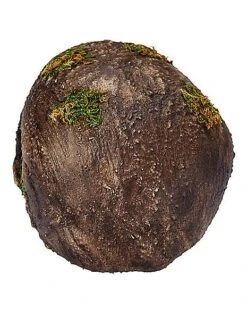 Moss Skull -Online Halloween Costumes 01477157 c