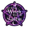Not Every Witch Lives In Salem Magnet