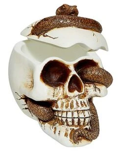 Snake Skull Box -Online Halloween Costumes 01530286 c