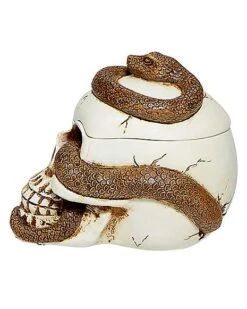 Snake Skull Box -Online Halloween Costumes 01530286 f