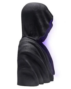 Fogging Phantom 10 Fogging Phantom -Online Halloween Costumes 01538511 e