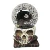 Gothic Noir Raven Snow Globe