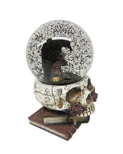Gothic Noir Raven Snow Globe -Online Halloween Costumes 01540020 c