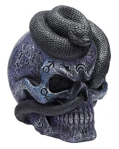 Mystical Arts Snake Skull -Online Halloween Costumes 01542786 c