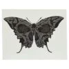 Moth Butterfly Temporary Tattoo