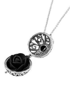 Plague Doctor Pomander Necklace 7 Plague Doctor Pomander Necklace -Online Halloween Costumes 01584473 d