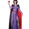 Adult Evil Queen Costume - Disney Villains