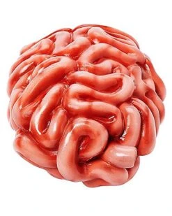 Intestines Prop -Online Halloween Costumes 01588029 c