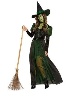 Adult Wicked Witch Costume - The Wizard Of Oz