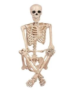 5 Ft Pose 'N' Stay Skeleton -Online Halloween Costumes 07125149 c