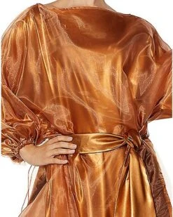 Adult Dana As Zuul Costume - Ghostbusters -Online Halloween Costumes 07554942 c