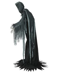 10 Ft Towering Reaper Animatronic - Decorations -Online Halloween Costumes 07624182 e