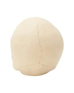 Jawless Skull Set - 3 Pack -Online Halloween Costumes 07641780 d